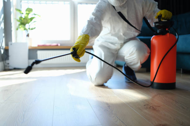 Reliable Odor Removal contractor in Bridgeton, MO by Dulley Family Biohazard Services